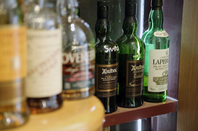 Nicks - Alligator lurking